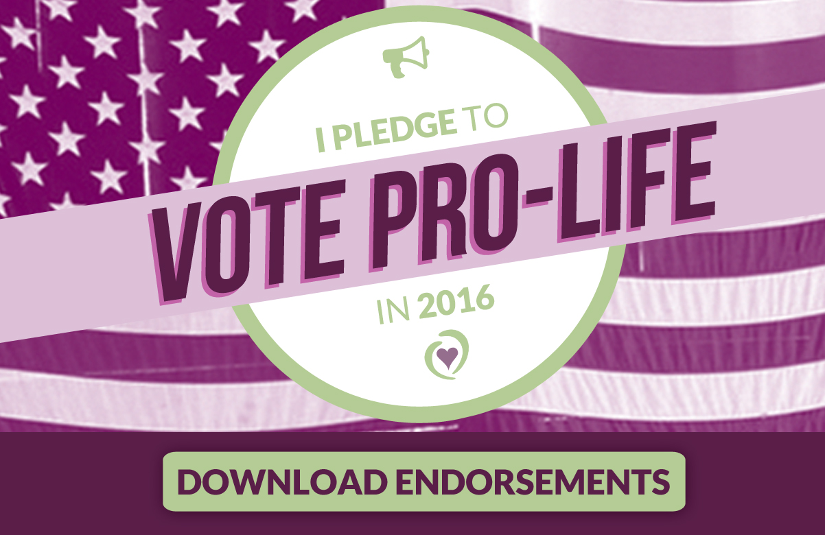 10-12-16_Pledge_to_Vote_Pro-life.jpg