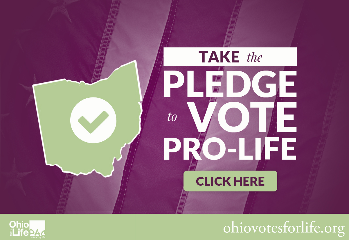 8-23-16_pledge_to_vote_pro-life.jpg
