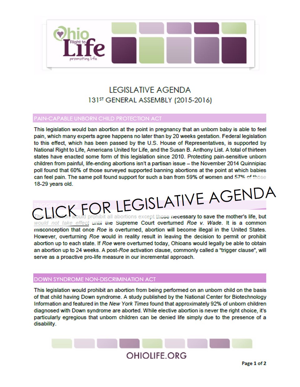 Screen_shot_-_Legislative_Agenda_for_website.jpg