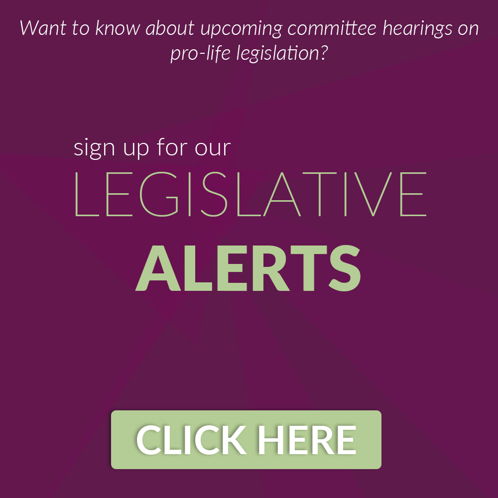 legislative_update_email_graphics.jpg